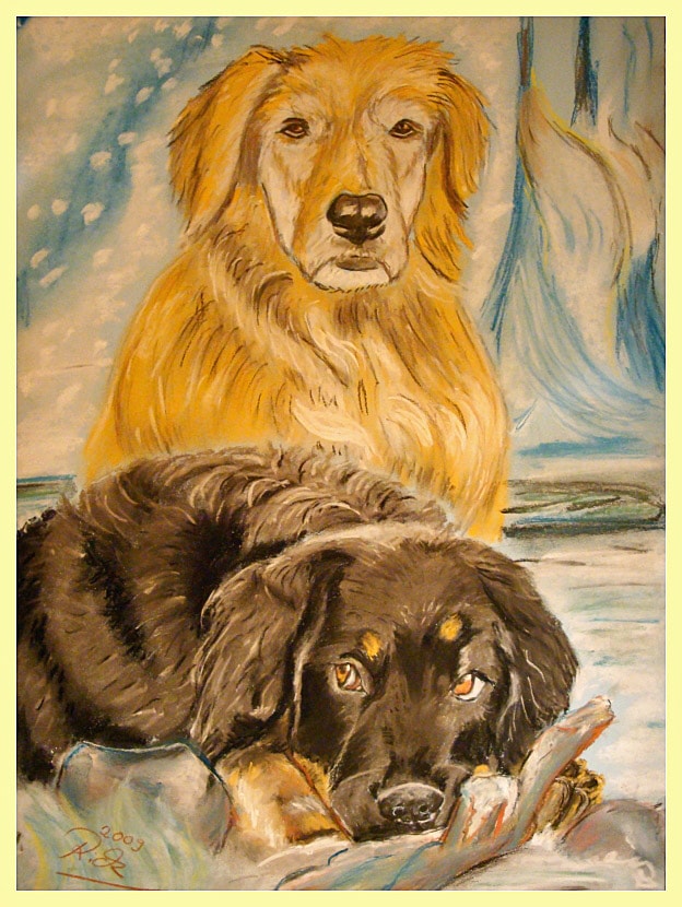 Winter mit Alcor und Cori - Hundeportrait von Petra Rick 2009 - Pastell